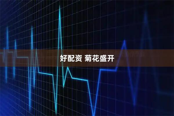 好配资 菊花盛开